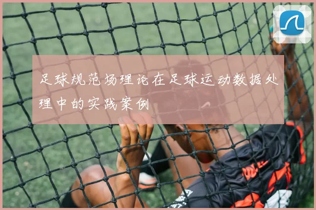 足球规范场理论在足球运动数据处理中的实践案例