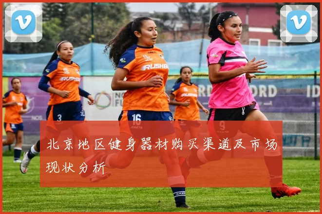 北京地区健身器材购买渠道及市场现状分析