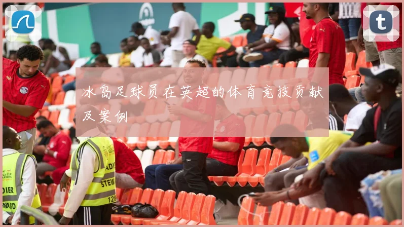 冰岛足球员在英超的体育竞技贡献及案例