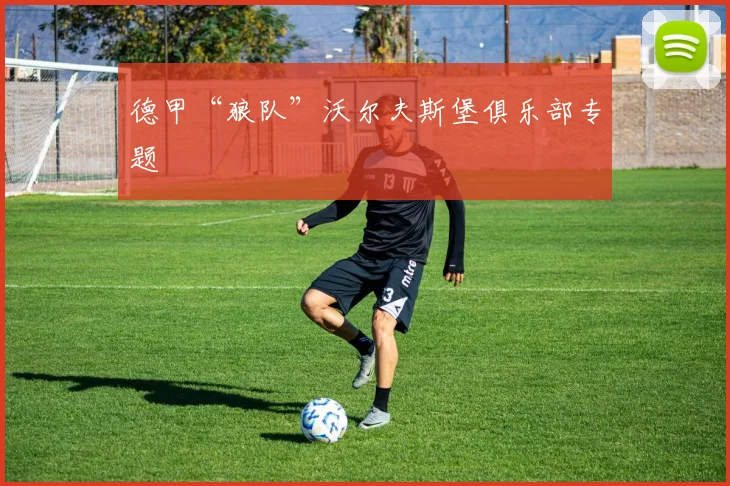 德甲“狼队”沃尔夫斯堡俱乐部专题