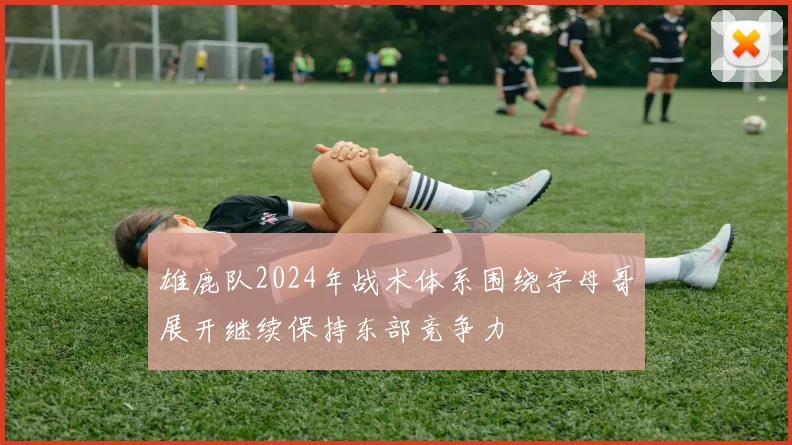 雄鹿队2024年战术体系围绕字母哥展开继续保持东部竞争力