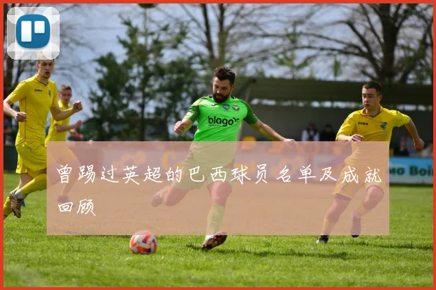 曾踢过英超的巴西球员名单及成就回顾