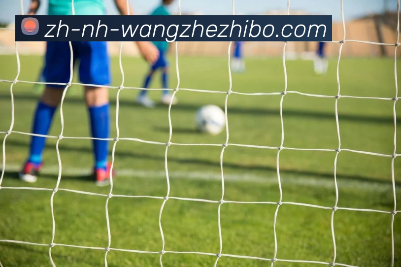 王者体育平台生态图