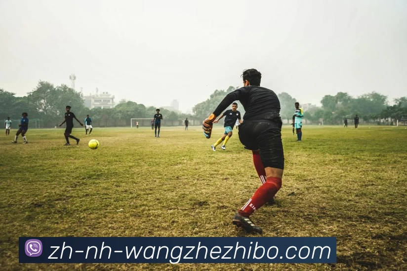 王者体育APP 封面图