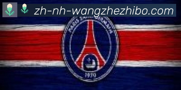王者体育合作伙伴